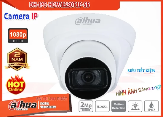 DH-IPC-HDW1230T1P-S5, camera DH-IPC-HDW1230T1P-S5, camera IP DH-IPC-HDW1230T1P-S5, camera dahua DH-IPC-HDW1230T1P-S5, camera IP dahua DH-IPC-HDW1230T1P-S5, lắp camera DH-IPC-HDW1230T1P-S5