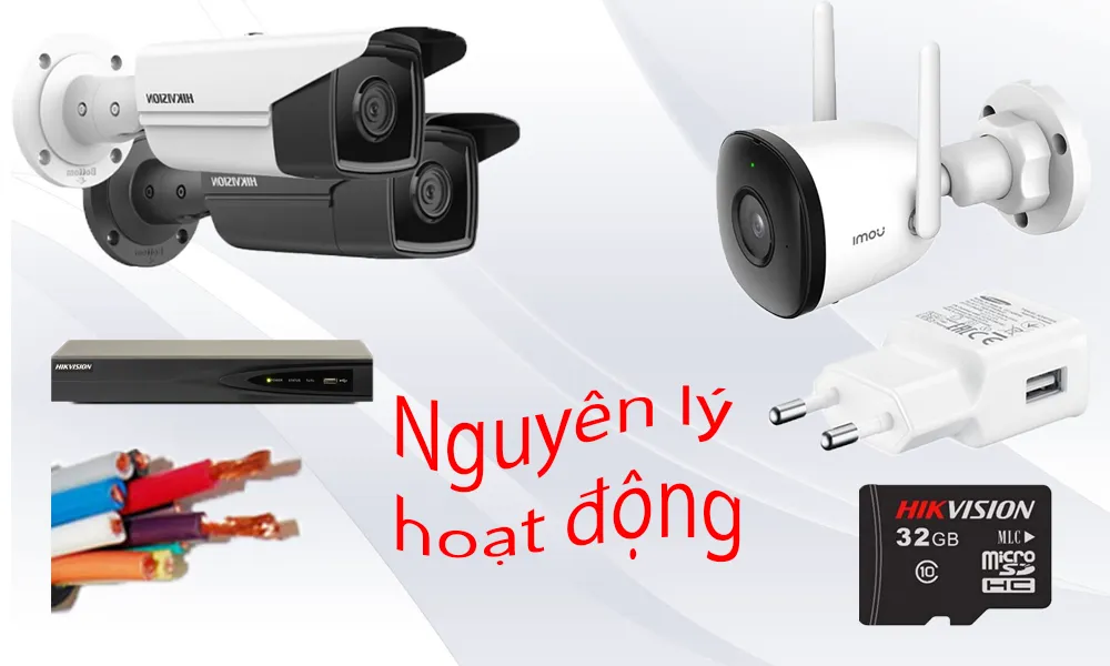 Nguyên lý hoạt động